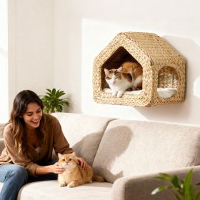Wall Mounted Cat House, Cat Wall Furniture, Cat Wall Shelf with Washable Cushion, Natural (Option: Natural Wood-420x275x365 mm)